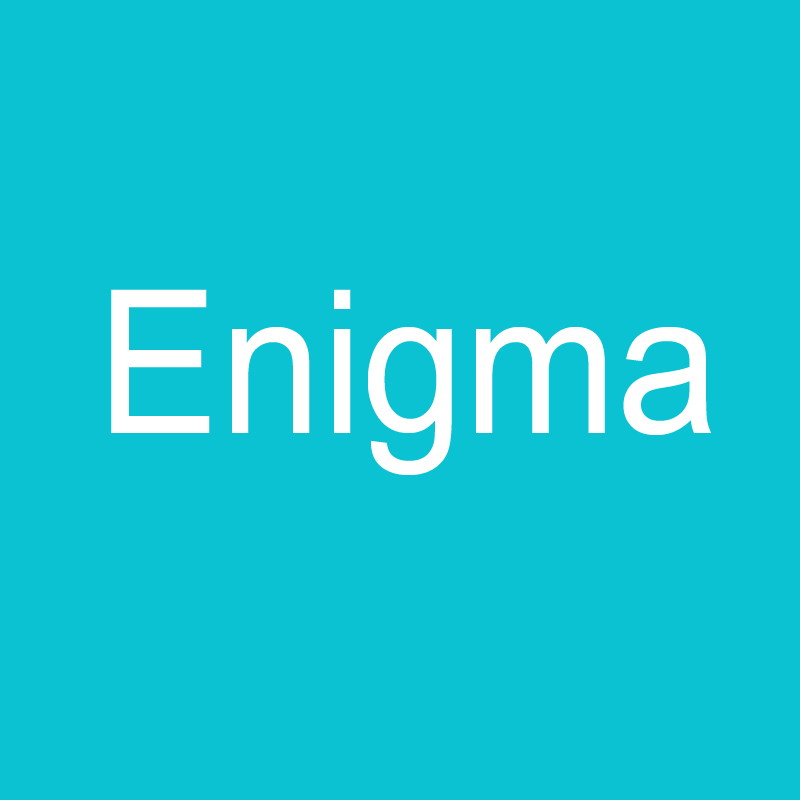 Enigma Premium Theme Suitable for Blog/Portfolio Sites