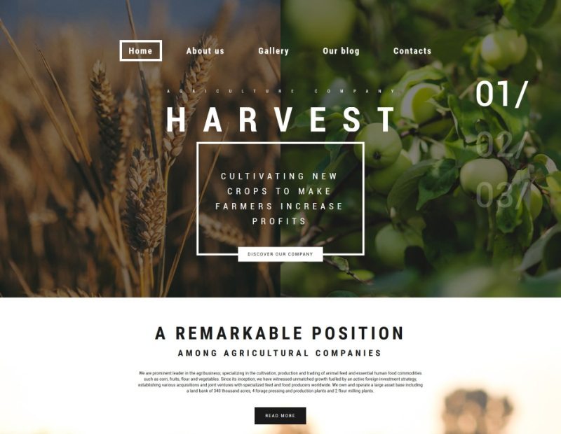 6-harvest