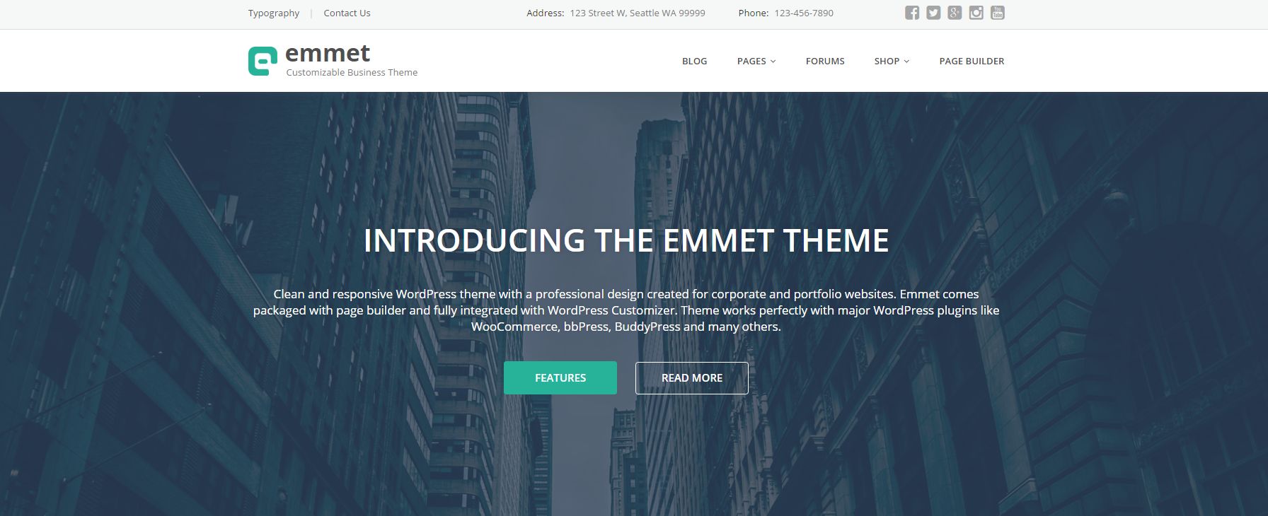 Emmet - Business Responsive WordPress Theme