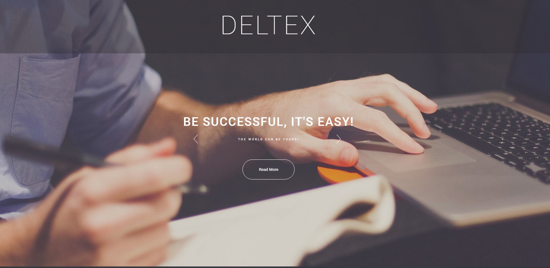 Deltex WordPress Theme