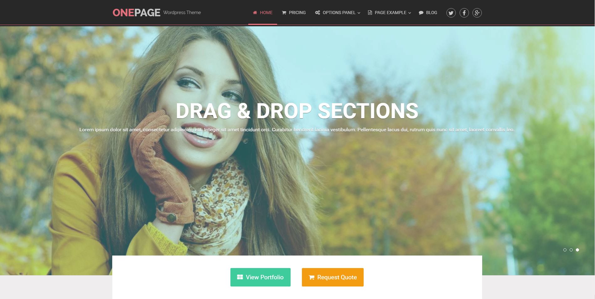 onepage