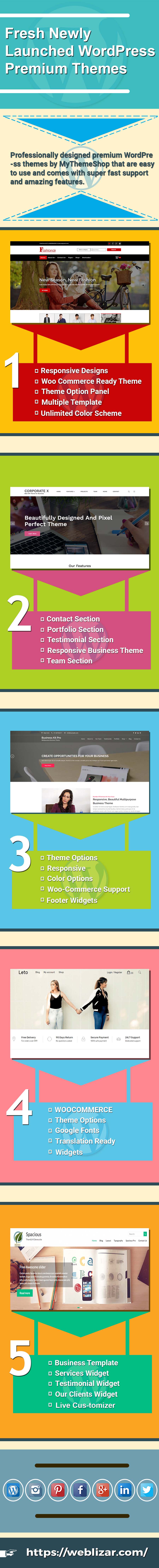 5 newly launched wordpress themes infographic