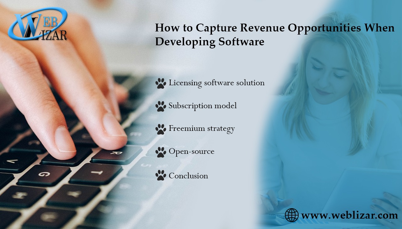 How to Capture Revenue Opportunities When Developing Software