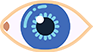 icon1