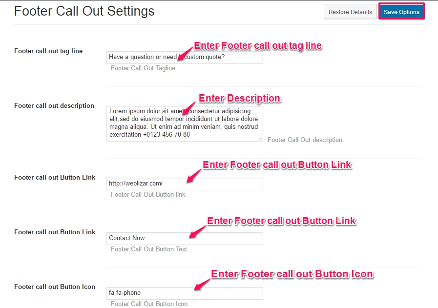 footer call out settings