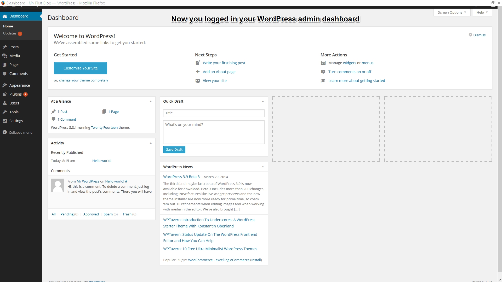 WordPress Admin Dashboard