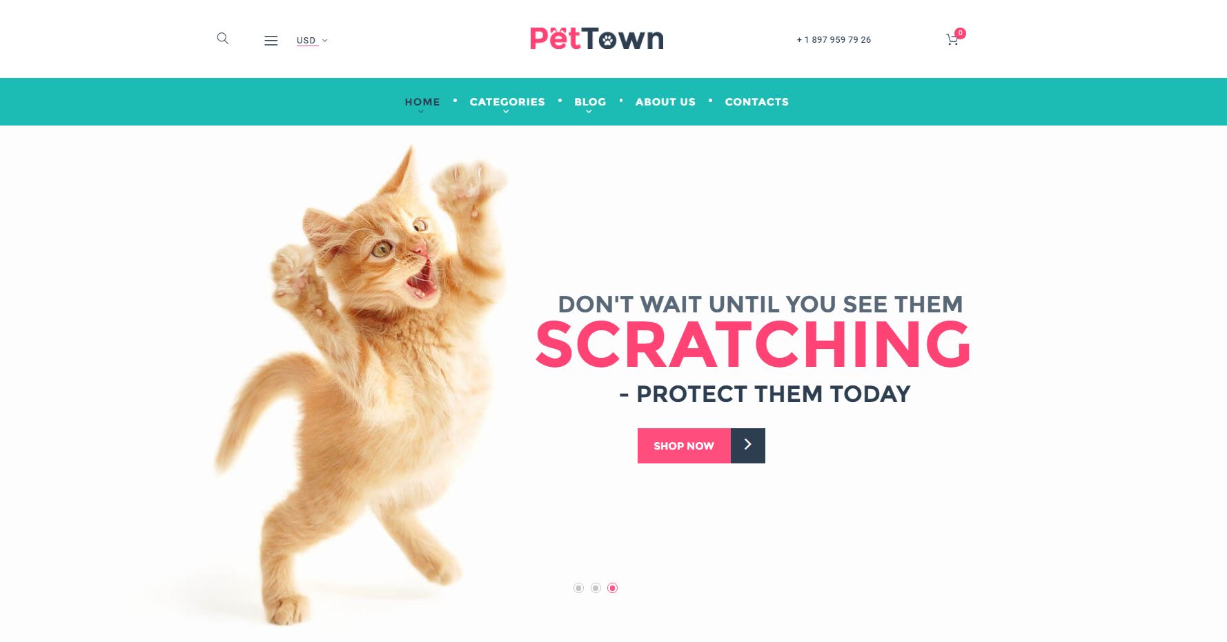 PetTown Pet Store WooCommerce Theme