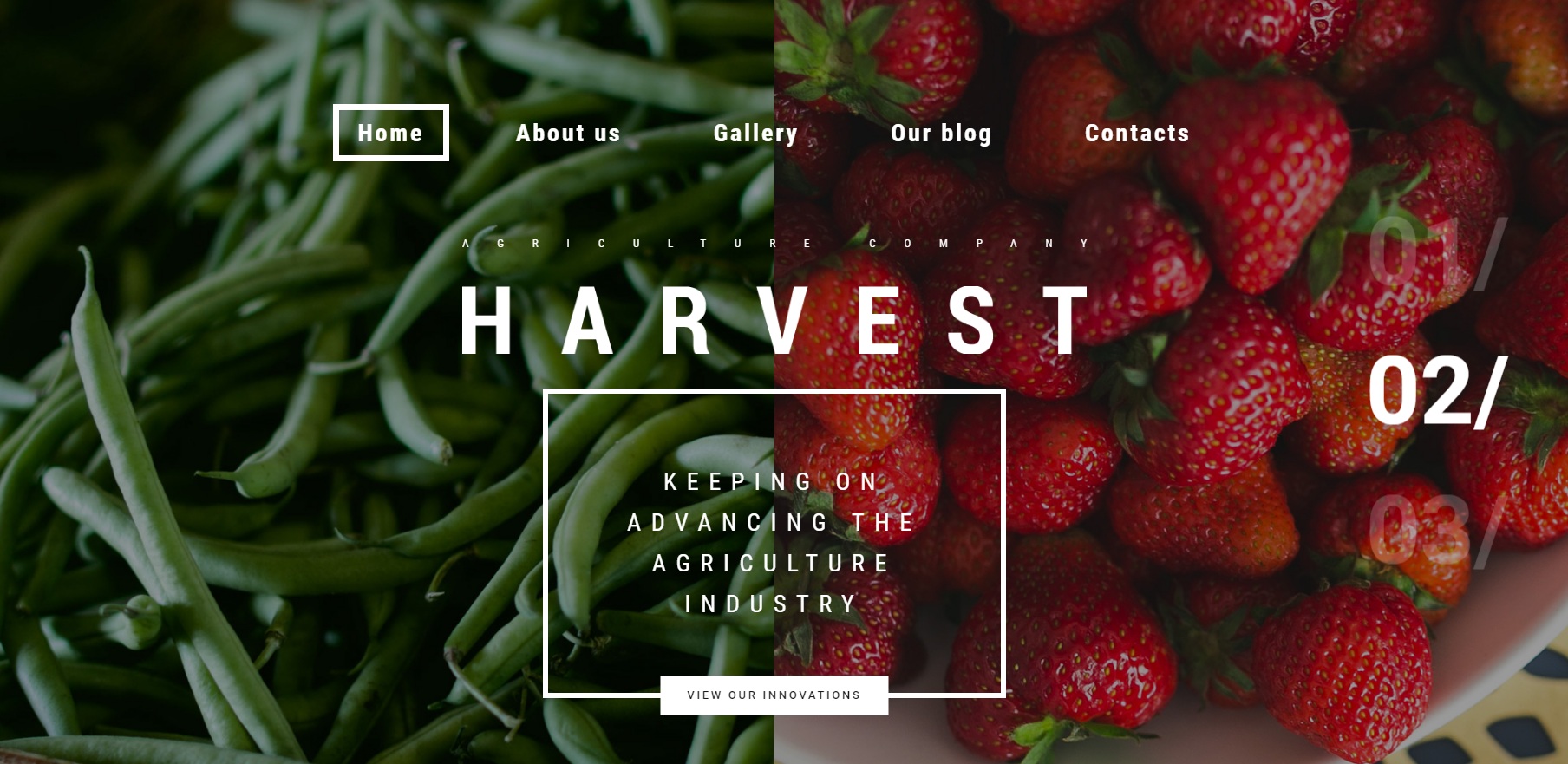 harvest wordpress theme